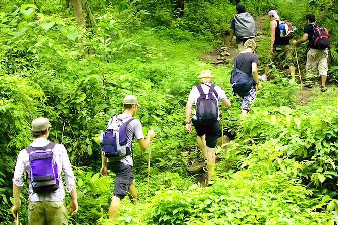 Jungle Trekking and Tamblingan Lake Canoeing in Bali Rainforest - Reaching Bali’s cool northern highlands