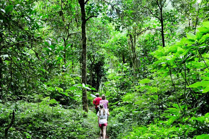 Jungle Trekking and Tamblingan Lake Canoeing in Bali Rainforest - What to bring and how to dress