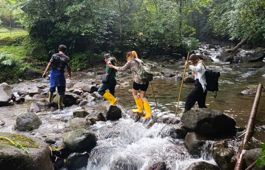Jungle Trekking at Mt. Batukaru, scenic Waterfall & village - Pura Luhur Batukaru comes first