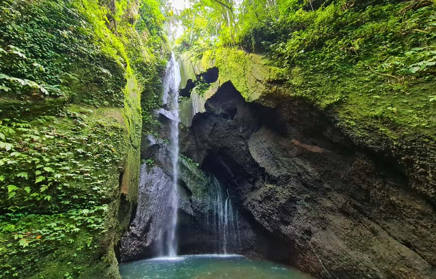 Jungle Trekking at Mt. Batukaru, scenic Waterfall & village - Two hours beneath Mount Batukaru