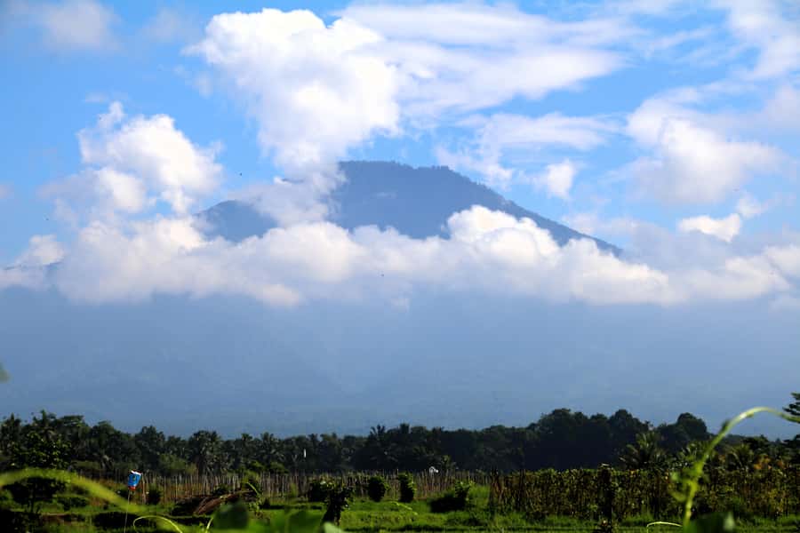 Jungle Trekking at Mt. Batukaru, scenic Waterfall & village - Lunch, massage, and a shower
