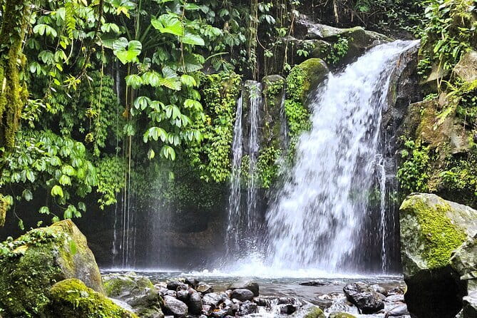 Jungle Trekking at Mt. Batukaru, scenic Waterfall & village life - Key points at a glance
