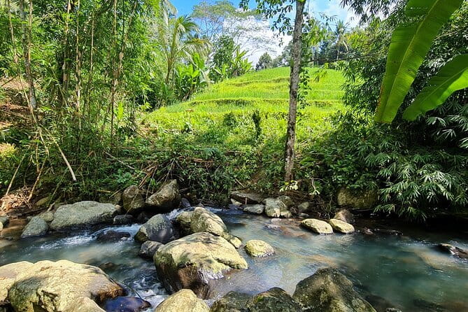 Jungle Trekking at Mt. Batukaru, scenic Waterfall & village life - Why Mount Batukaru makes a fine change from beach Bali