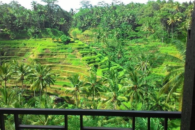 Jungle Trekking at Mt. Batukaru, scenic Waterfall & village life - What the $117 price includes