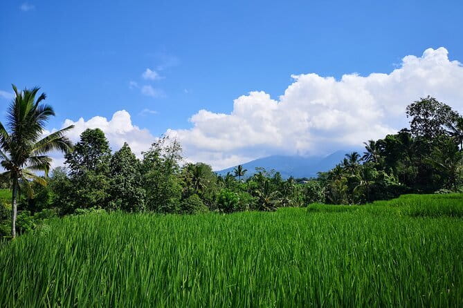 Jungle Trekking at Mt. Batukaru, scenic Waterfall & village life - Pura Luhur Batukaru, a quiet start with cultural weight