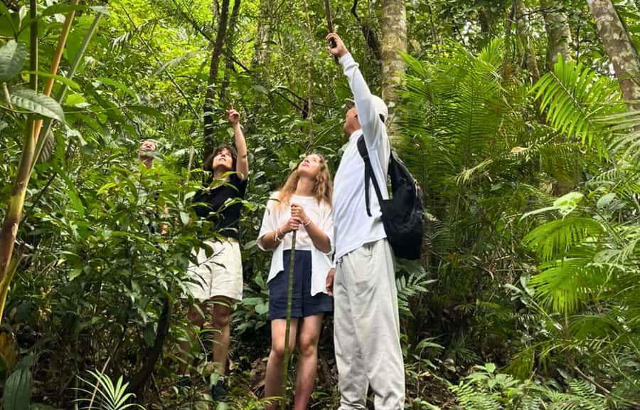 Jungle Trekking at Mt. Batukaru, scenic Waterfall & village - The road to Wongaya Gede