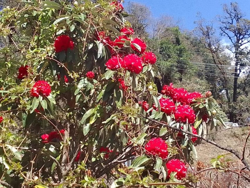 Kathmandu: 10-Day Adventurous Annapurna Circuit Trek - The long road to Dharapani on Day 1