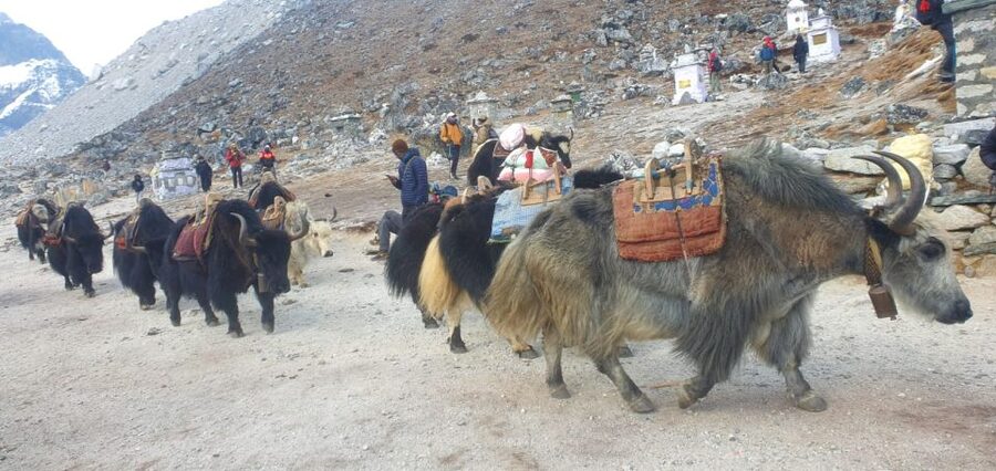 Kathmandu: 14-Day Everest Base Camp with Kala Patthar Trek - Lobuche and the approach to Base Camp