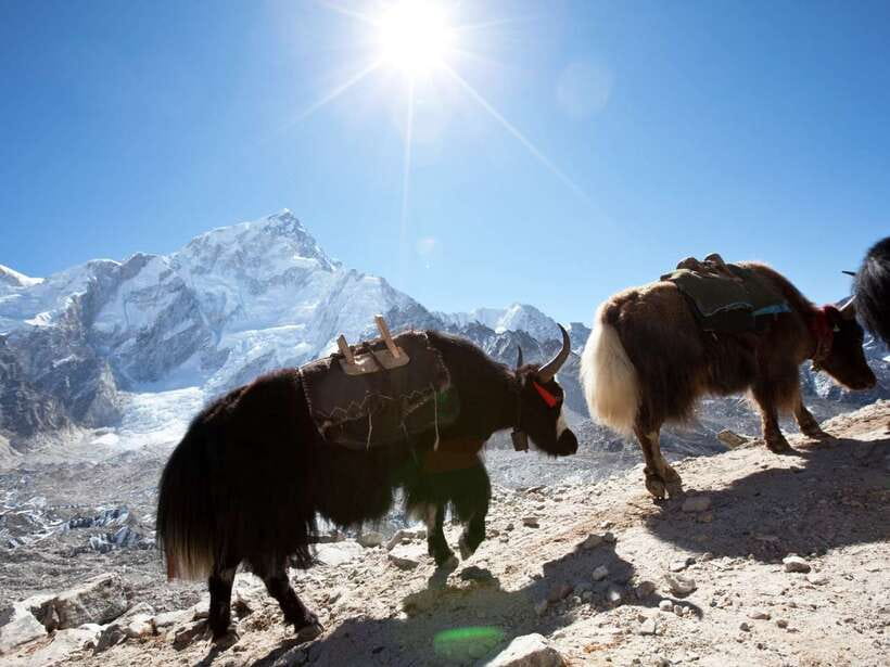 Kathmandu: 6 Days Langtang Valley Trek with Kyanjin Ri - Key points to know before booking