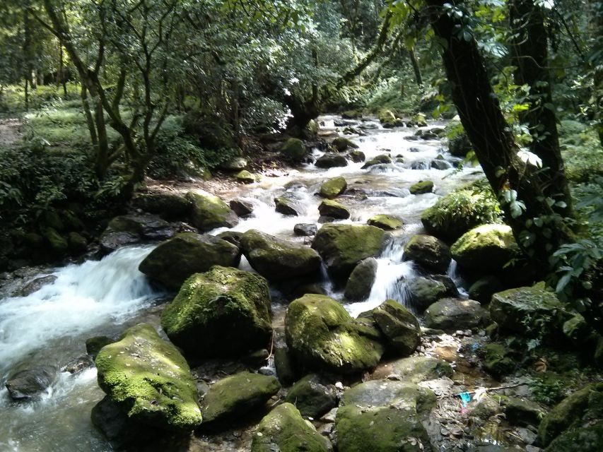 Kathmandu: Chisapani Nagarkot 3-Days 2-Nights Trek - Why this three-day Nepal trek works