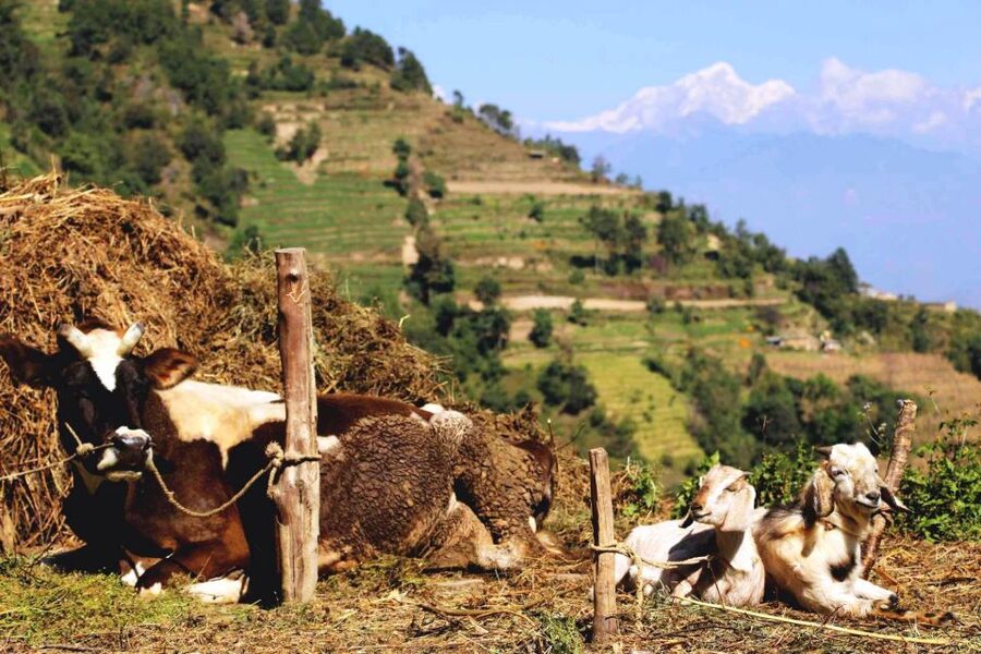 Kathmandu: Chisapani Nagarkot 3-Days 2-Nights Trek - What to pack for these three days