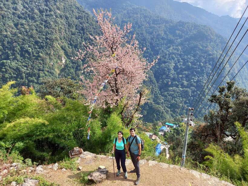 Kathmandu/Pokhara: 5-Day Annapurna Base Camp (ABC) Trek - Sunrise at ABC and the hard return to Bamboo or Sinuwa