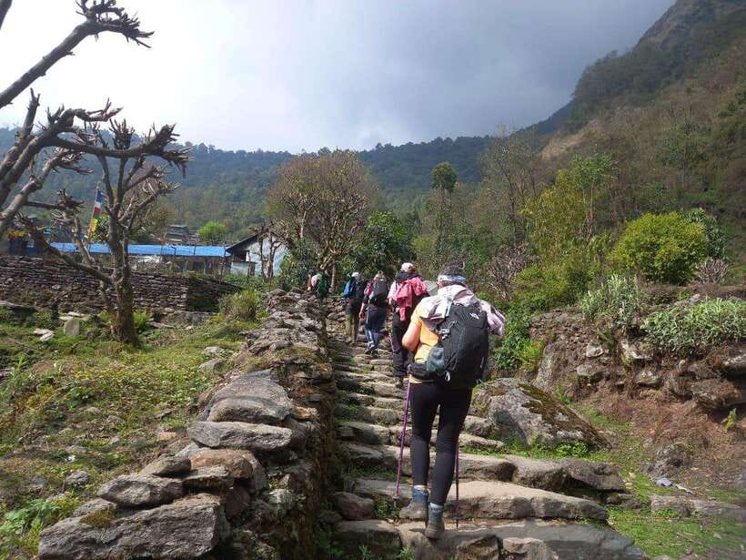 Kathmandu/Pokhara: 5-Day Annapurna Base Camp (ABC) Trek - Safety, permits, and guide support
