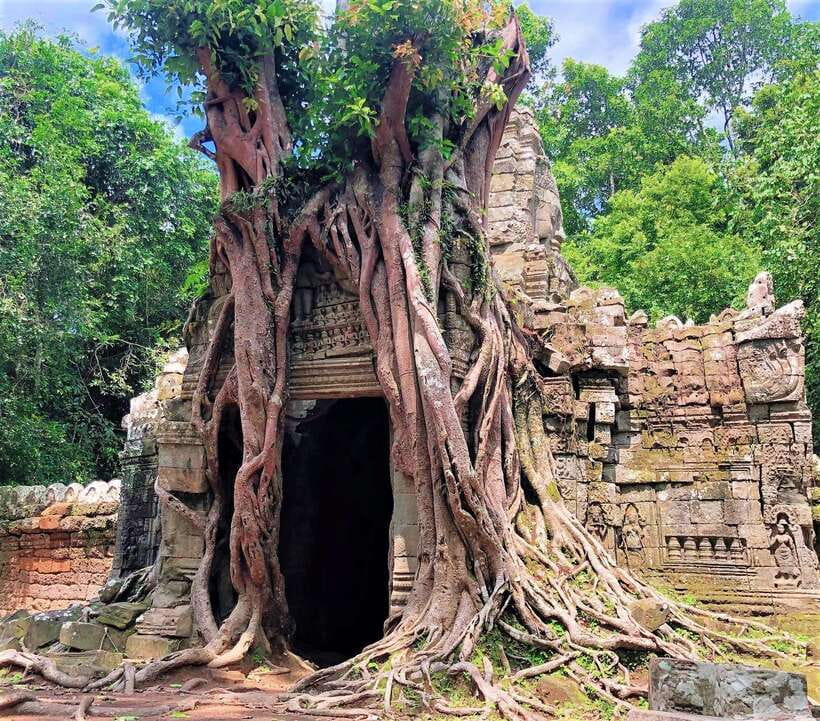 Kbal Spean Trekking Tour with Banteay Srei & Landmine Museum - Banteay Srei and its pink sandstone detail