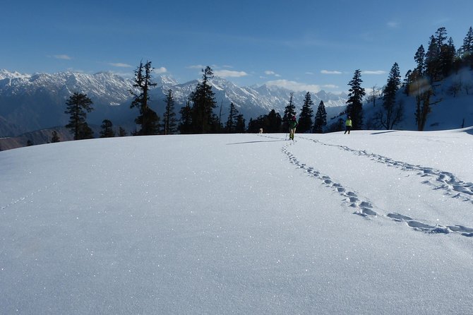 Kedarkantha Trek - Camping, meals, and the level of comfort