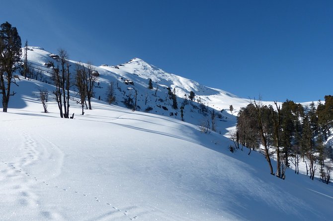 Kedarkantha Trek - Day 3: Juda to Kedarkantha Base Camp