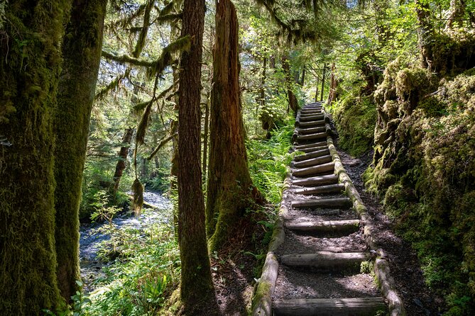 Ketchikan Magical Old-Growth Creek Trek Guided Tour - Why this Ketchikan hike feels different