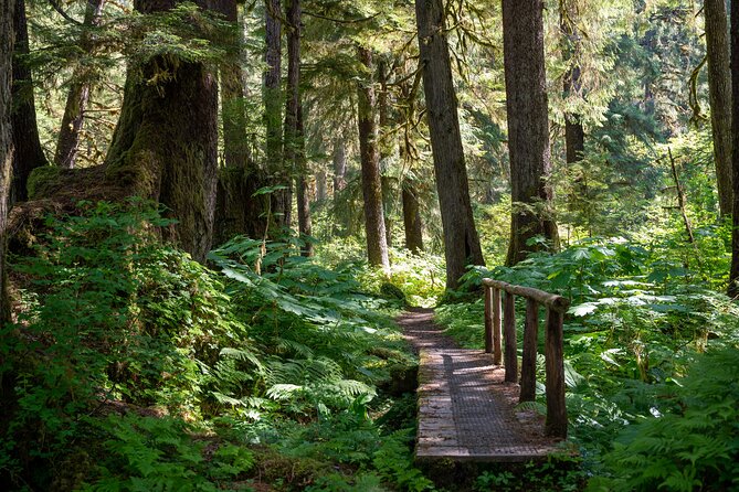 Ketchikan Magical Old-Growth Creek Trek Guided Tour - What the $258.18 price includes