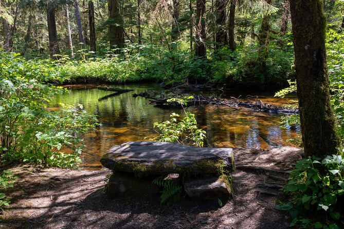 Ketchikan Magical Old-Growth Creek Trek Guided Tour - Who should choose this trek