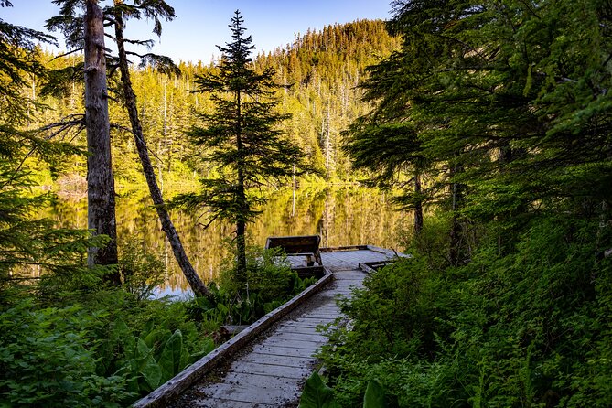 Ketchikan Mountain Lake Trek to Avalanche Chute - What the $258.18 price buys you