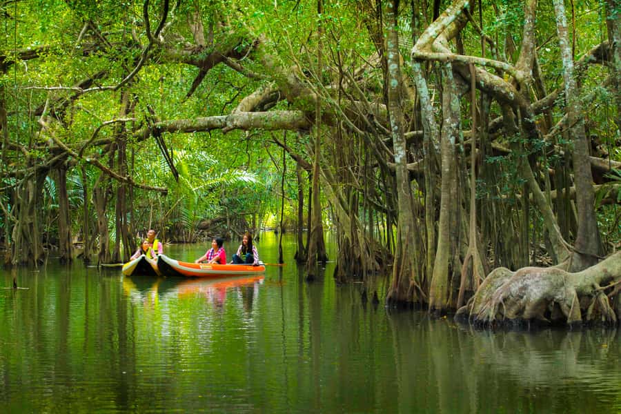Khao Lak's Little Amazon: Canoe, Trek & Waterfall Day Trip - Two Takuapa markets, two different experiences