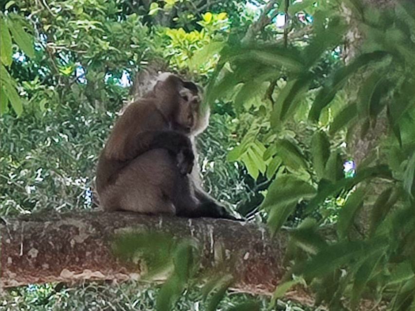 Khao Sok Jungle Day Trip - Jungle Trekking & Bamboo Rafting - Why this Khao Sok day trip works well