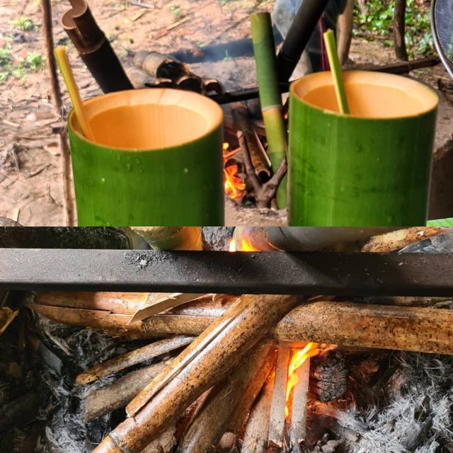 Khao Sok Jungle Day Trip - Jungle Trekking & Bamboo Rafting - Walking through the ancient rainforest