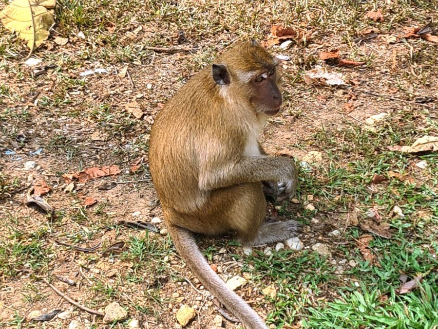 Khao Sok Jungle Day Trip - Jungle Trekking & Bamboo Rafting - Rain, comfort, and what to pack