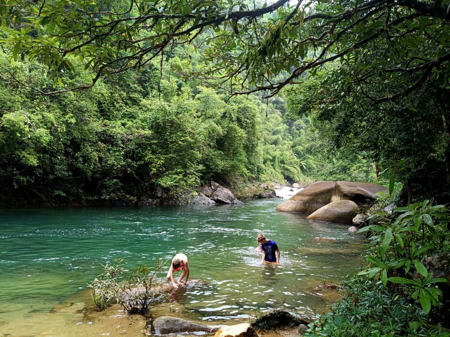 Khao Sok: Private Day Trekking, Jungle Dinner & Night Safari - Why this seven-hour Khao Sok outing feels different