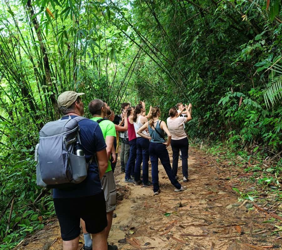 Khao Sok: Private Day Trekking, Jungle Dinner & Night Safari - The night safari and the forest after sunset