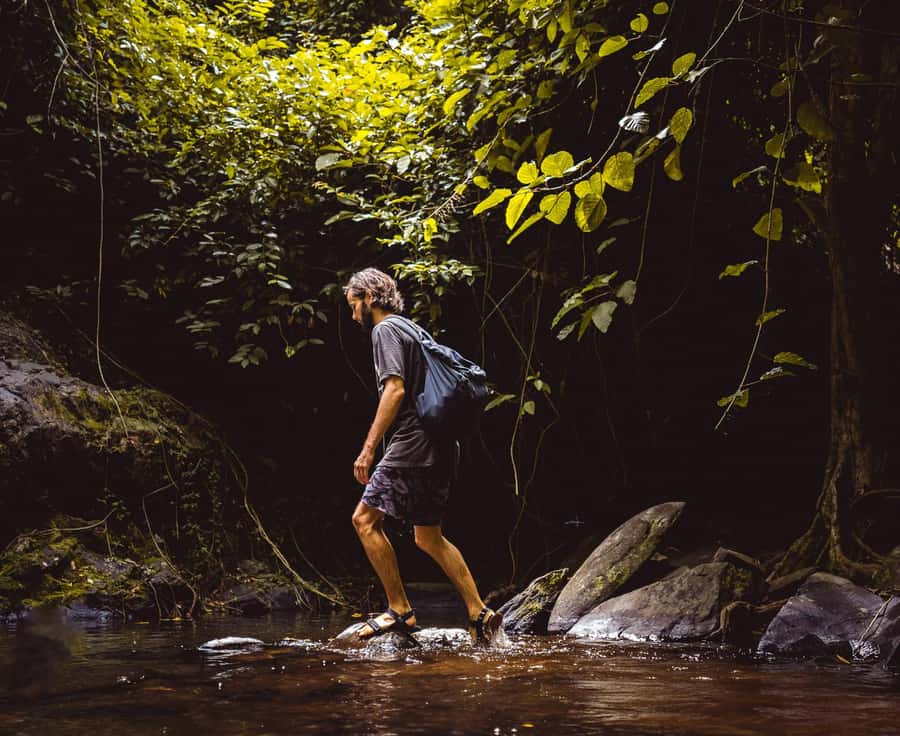 Khao Sok: Private Day Trekking, Jungle Dinner & Night Safari - How the pace, distance, and weather affect the day