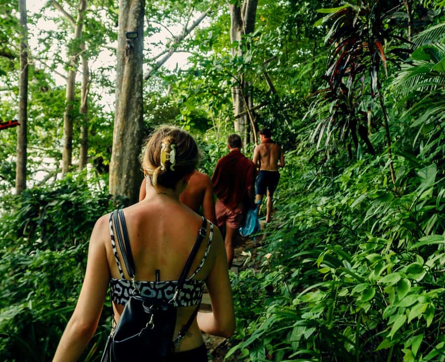 Khao Sok: Private Jungle Trek, Waterfall Swim & Bamboo Lunch - Key points before you book