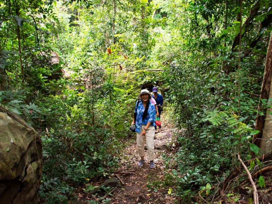 Khao Sok: Private Jungle Trek, Waterfall Swim & Bamboo Lunch - Walking beneath Khao Sok’s tall forest