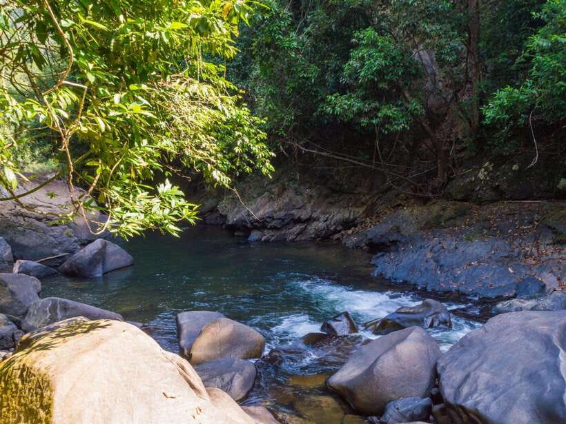 Khao Sok: Private Waterfalls and Wildlife Half-Day Trek - Is the Khao Sok half-day trek worth it?