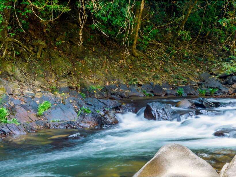 Khao Sok: Private Waterfalls and Wildlife Half-Day Trek - Who should book this Khao Sok trek?