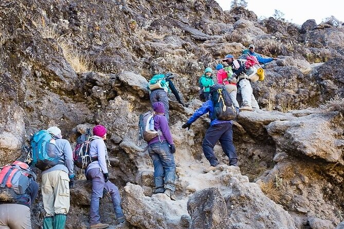 Kilimanjaro 7 Day Private Trekking Experience - Day 6: Stella Point, Uhuru Peak, and the long descent