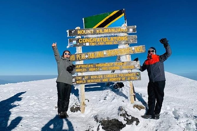 Kilimanjaro Trekking 7Days 6Night Lemosho Route - Day two: Mti Mkubwa to Shira 2