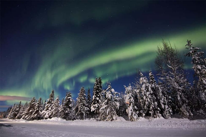 Kiruna: Snowshoe Trek with Aurora Hunt and Warm Beverage - Following forest routes and looking for animal tracks