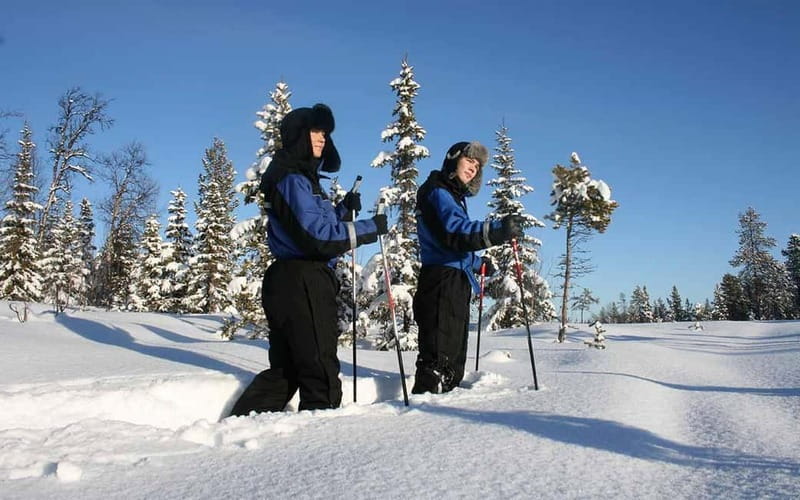 Kiruna: Snowshoe Trek with Warm Beverage and Sandwich - Key points to know before booking