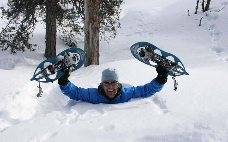 Kiruna: Snowshoe Trek with Warm Beverage and Sandwich - What the guide adds to the day
