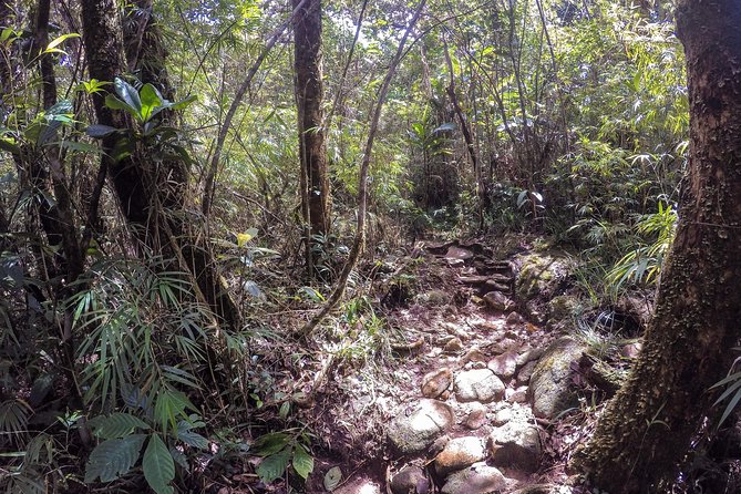Knuckles Leopard trail Trek from Kandy - Who should book this trek