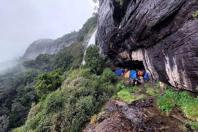 Knuckles Mountain Range: Hidden Waterfall Chain Trek - Day one: tea fields, Ratnagiri Hill, and forest