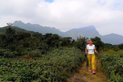 Knuckles Mountain Range Hiking and Trekking Day Tour From Kandy Hotels