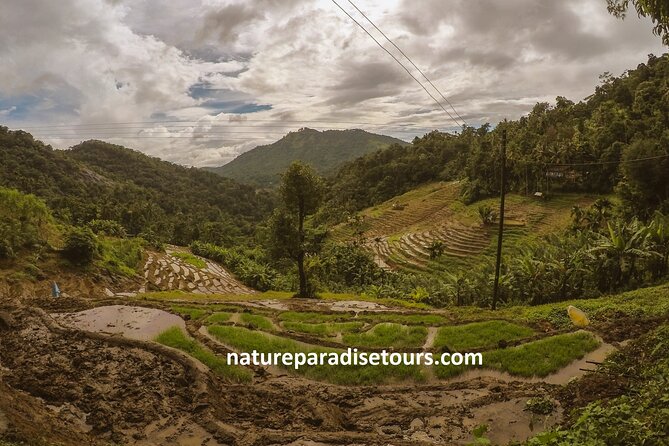 Knuckles Spice Trail Trek from Kandy - From Kandy to the Knuckles foothills