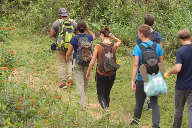 Knuckles Spice Trail Trek from Kandy - Rice terraces and the traditional village