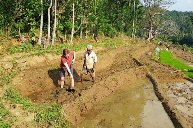 Knuckles Spice Trail Trek from Kandy - Lunch with local flavor