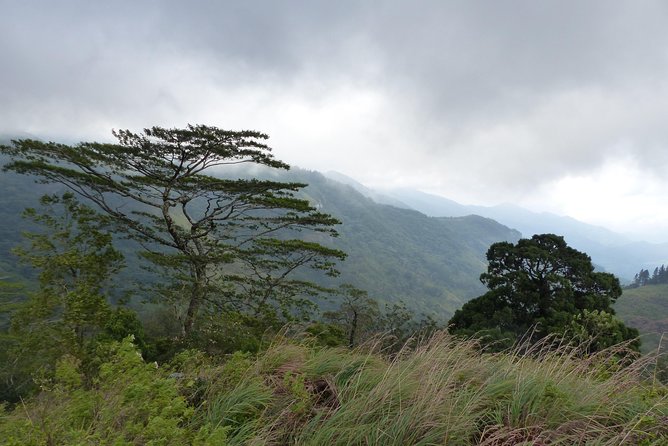 Knuckles Spice Trail Trek from Kandy - How hard is the 10 to 15 kilometer walk?