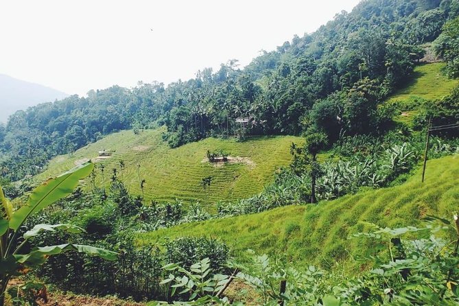 Knuckles Spice Trail Trek from Kandy - The best season and the weather question