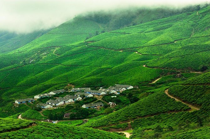 Kolukkumalai Trekking with Night stay in Tent - Key points at a glance
