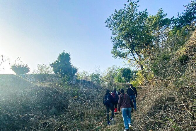 Korean Cemetery and Folklore Trek - Who will enjoy this experience most